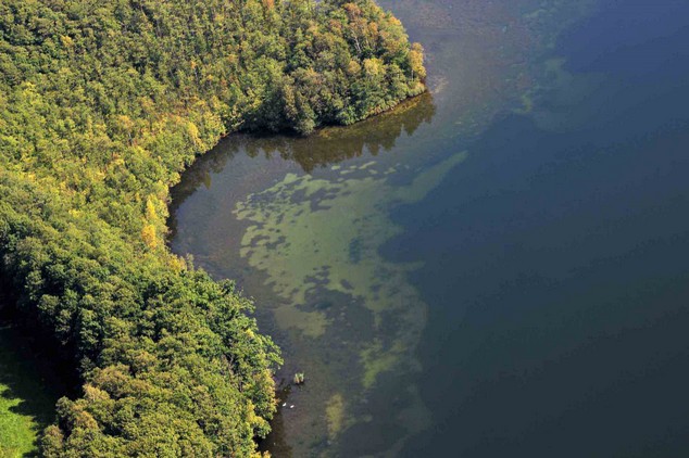 GroßerZeschsee_Zossen_2 Kopie Kopie.jpg