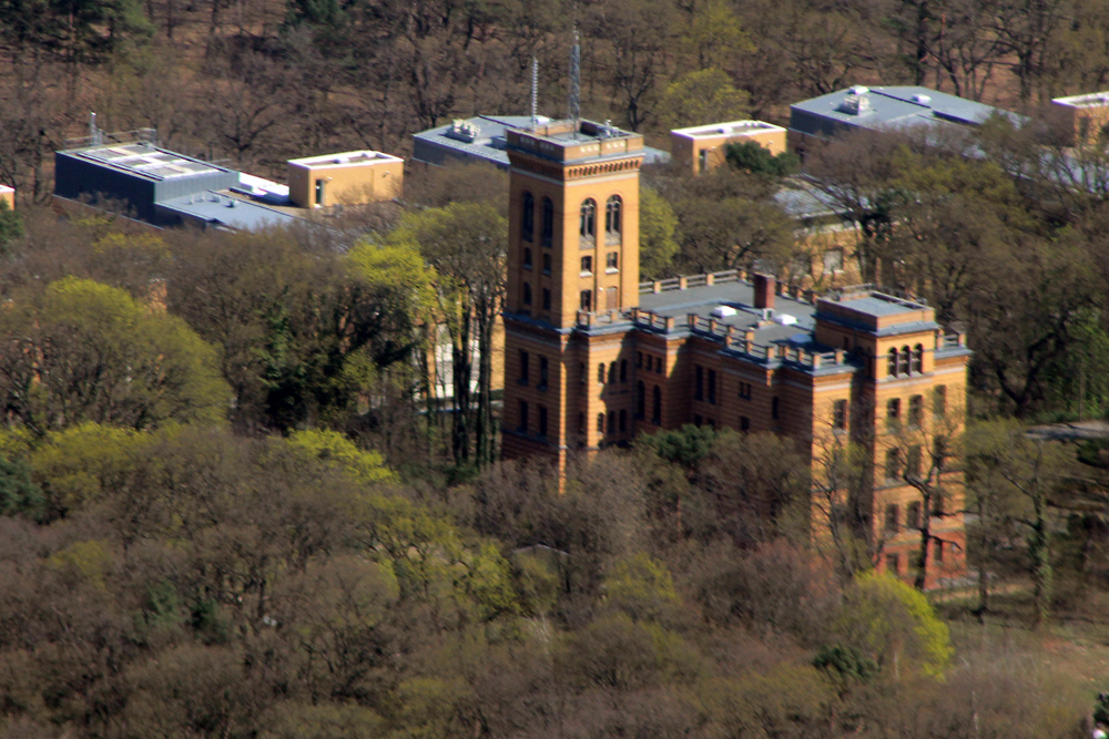 Potsdam_WiPaAlbertE_2.jpg