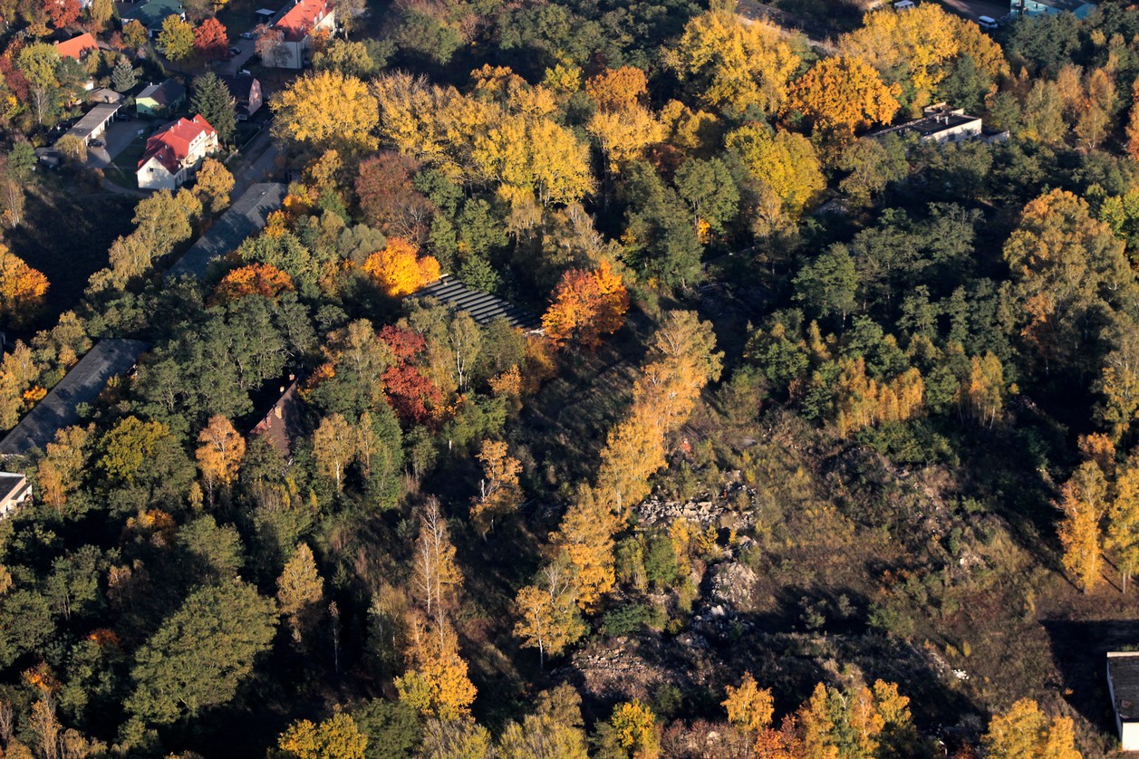 Rehhagen_Autumleaves_2.jpg