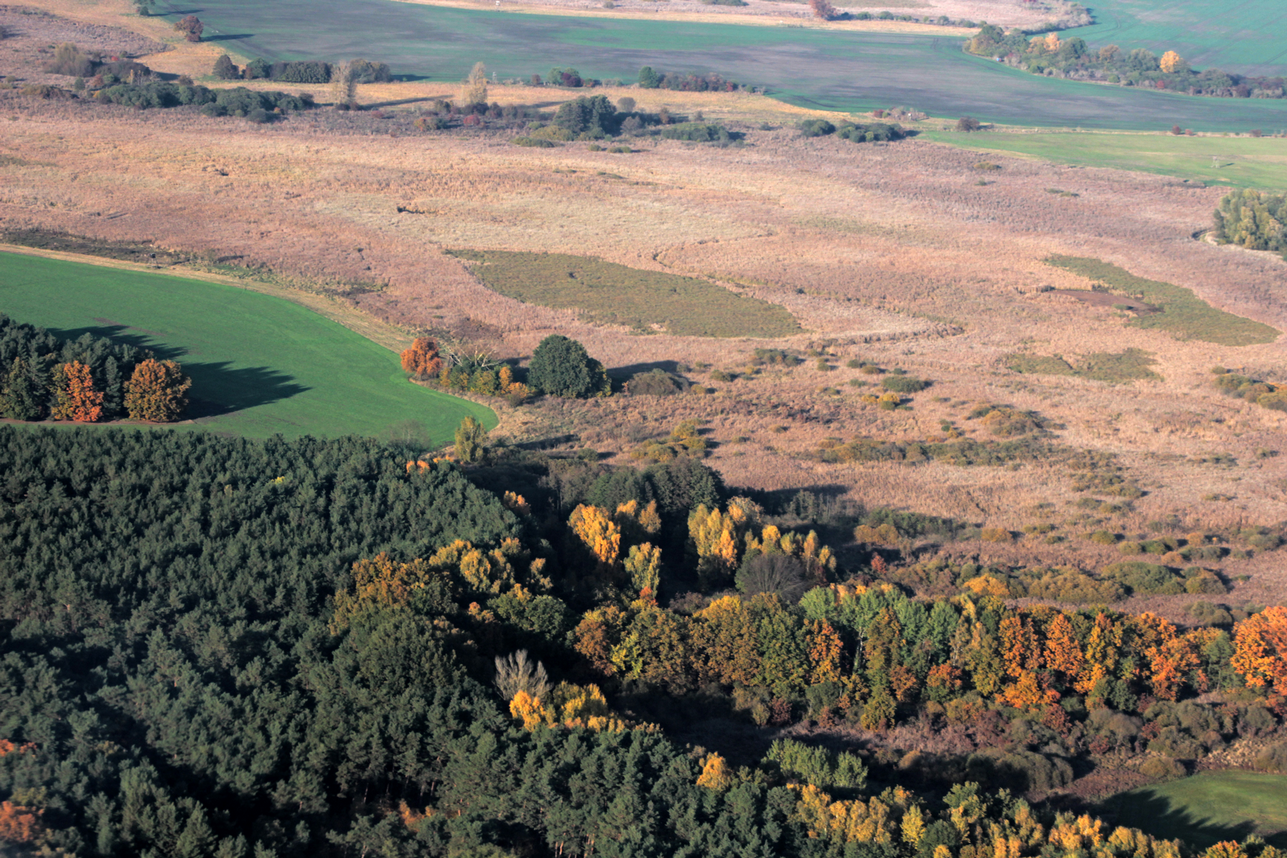 IMG_5119 Kopie_land - Kopieren.png