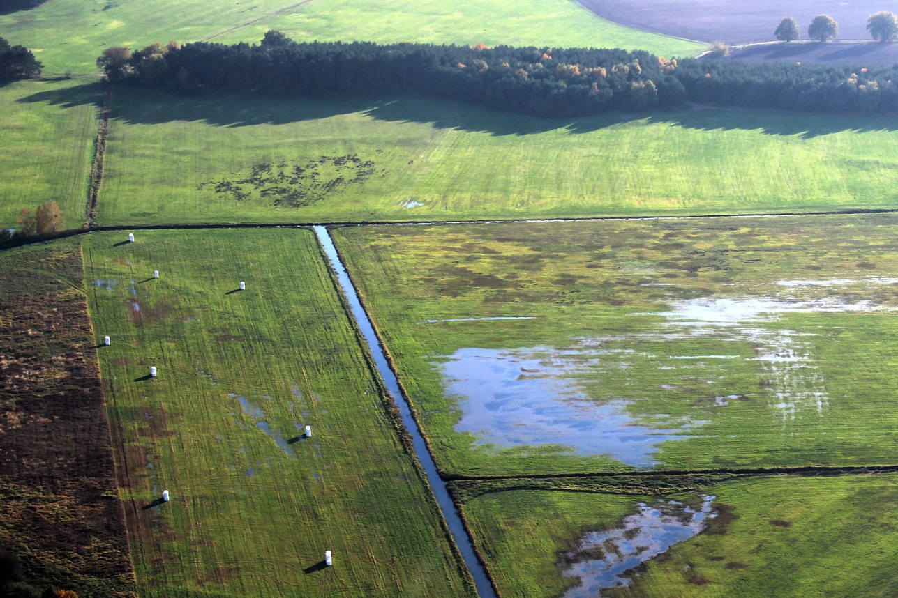 Land.jpg