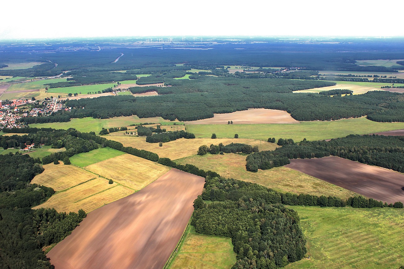 Landfläche.jpg