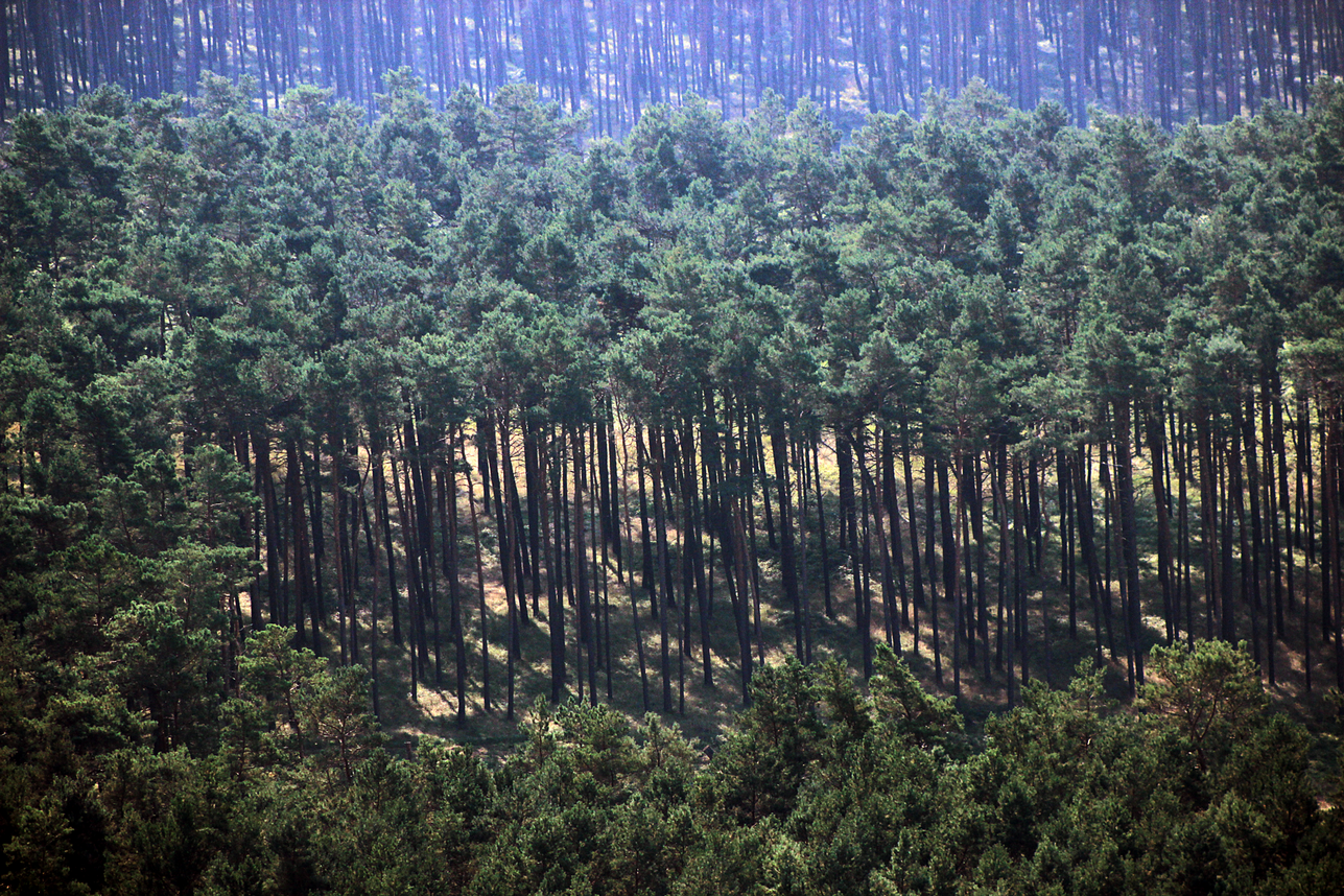 Landschaft_2 - Kopieren.png