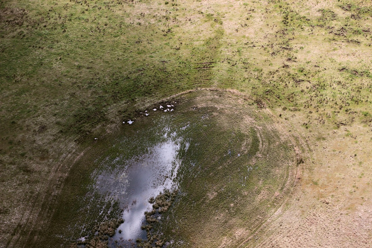 Feuchtgebiet.jpg