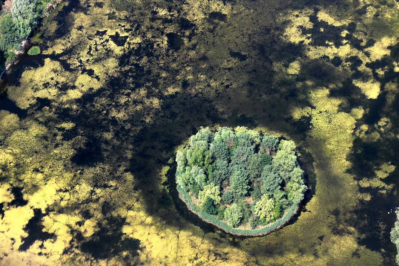 See_Insel_Algen.jpg