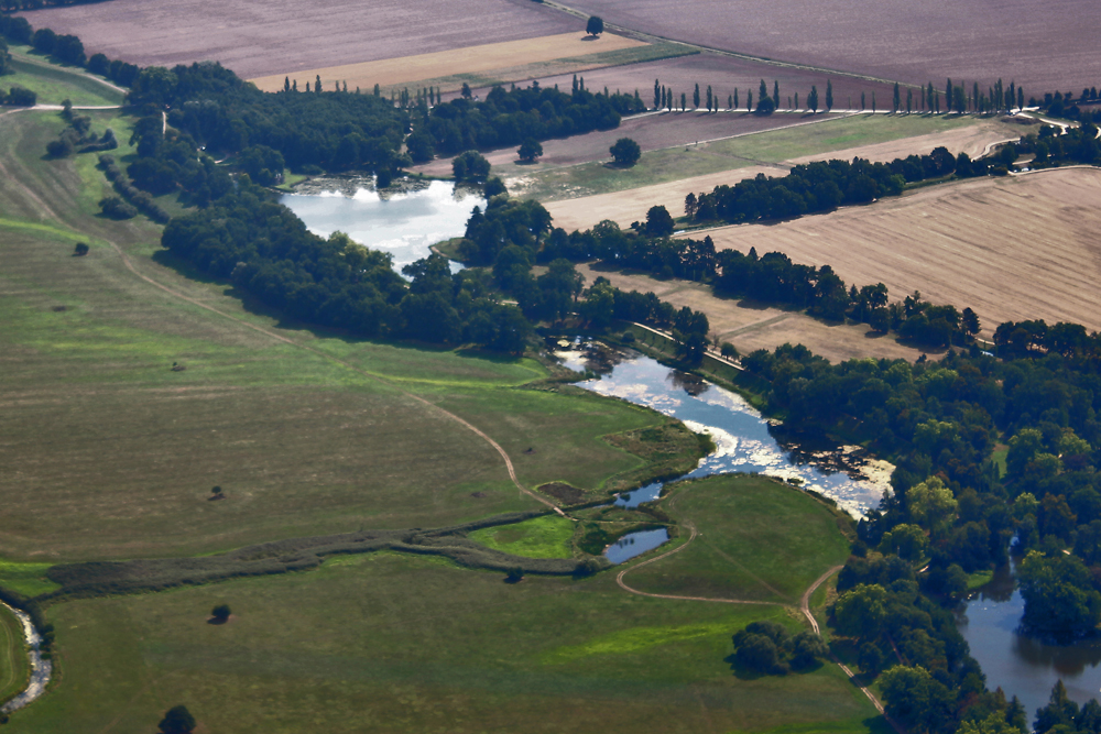 Elbe_Krägen-Riss_Wörlitz.jpg