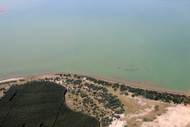 Lausitz_SchlabendorferSee_ufer.jpg