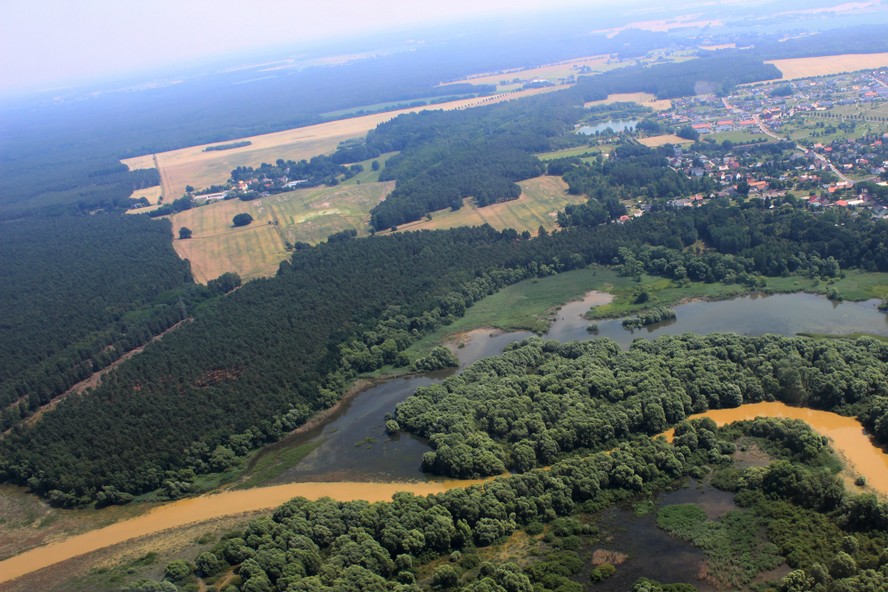 Spremberg_Spree_yellow_2.jpg