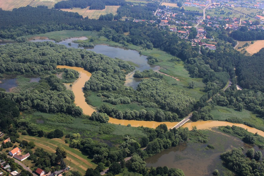 Spremberg_Spree_yellow_6.jpg