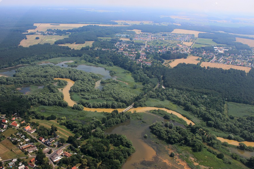 Spremberg_Spree_yellow_7.jpg