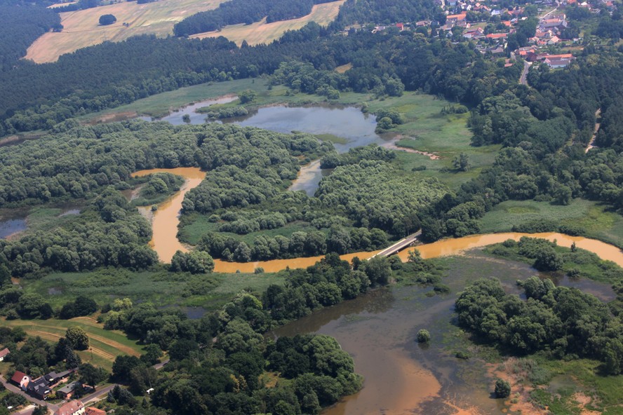 Spremberg_Spree_yellow_8.jpg