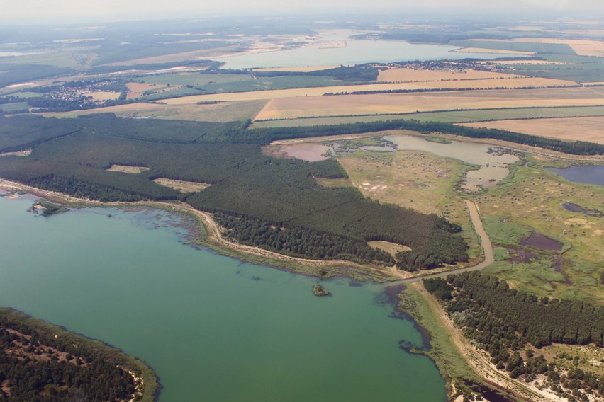 LichtenauerSee_Tornower Niederung_2.jpg