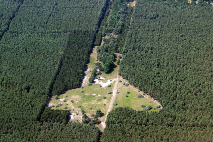LichtenauerSee_Tornower Niederung.jpg
