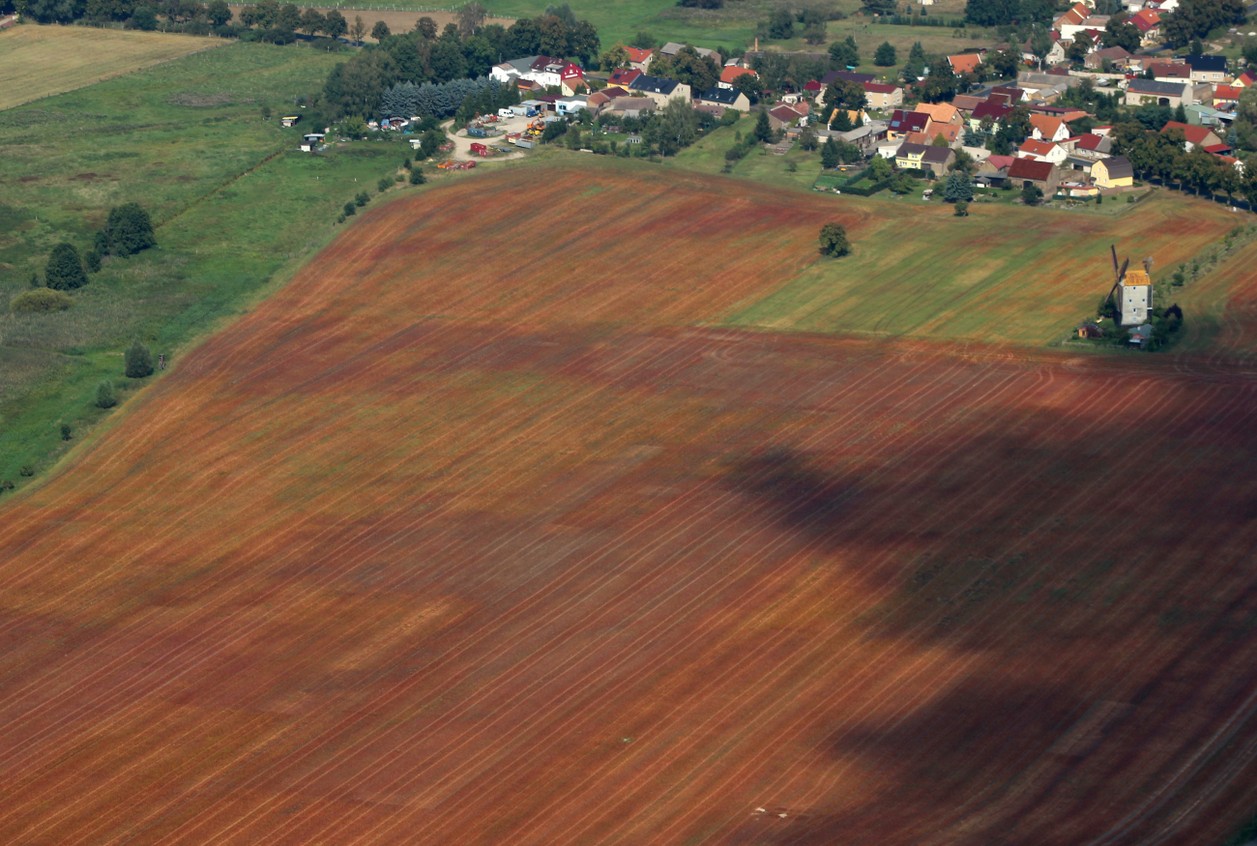 Saalow_Paltrockwindmühle_3.jpg